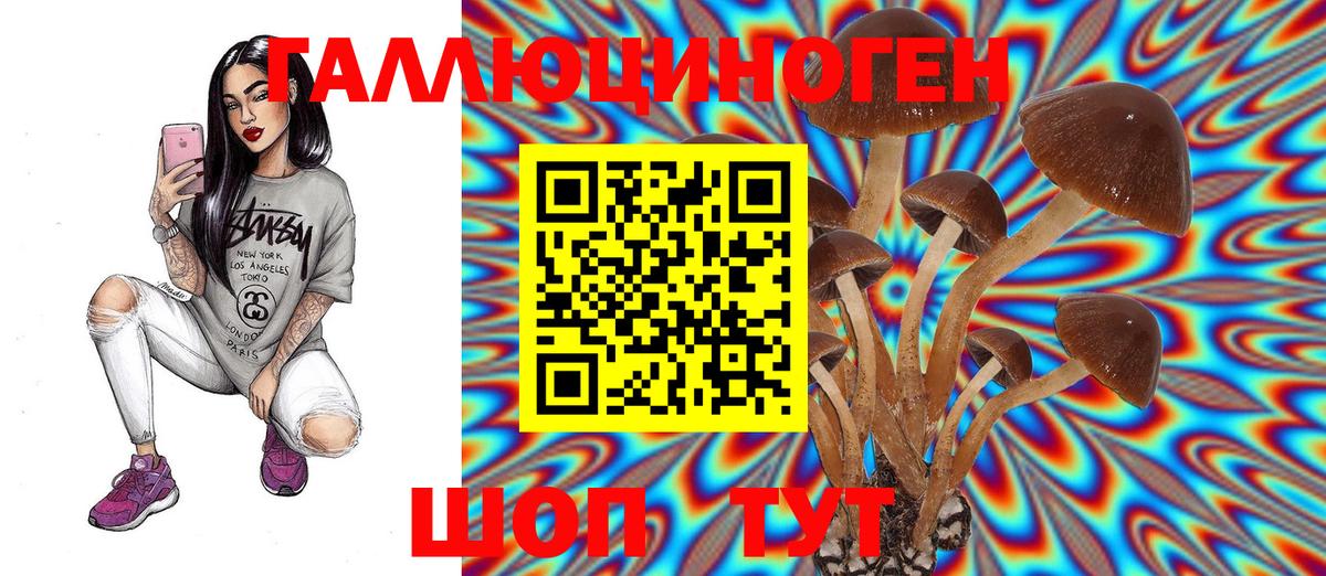Галлюциногенные грибы GOLDEN TEACHER Нефтекамск