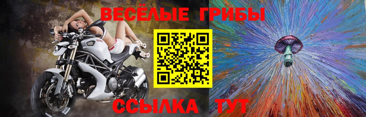 Нефтекамск  Псилоцибиновые грибы Magic Shrooms  Вход с VPN 